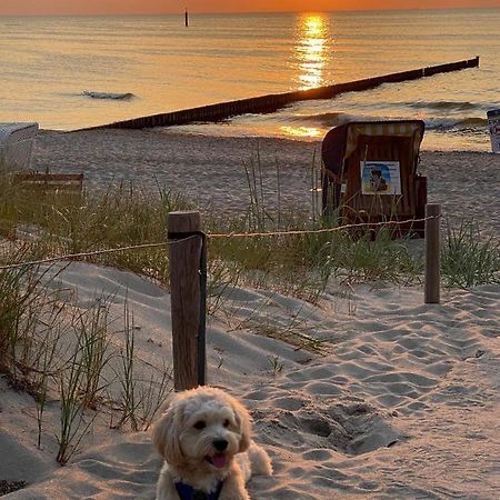 Residenz Lausitz - Apartments Fuer Urlaub Mit Hund Graal-Mueritz Exterior foto