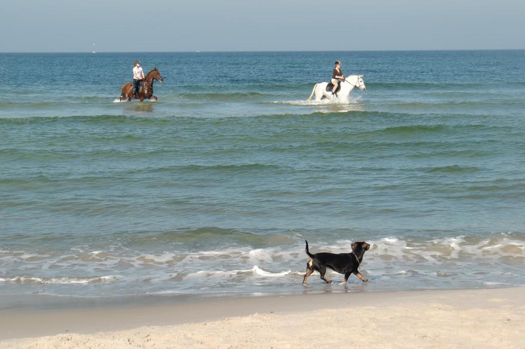 Residenz Lausitz - Apartments Fuer Urlaub Mit Hund Graal-Mueritz Exterior foto