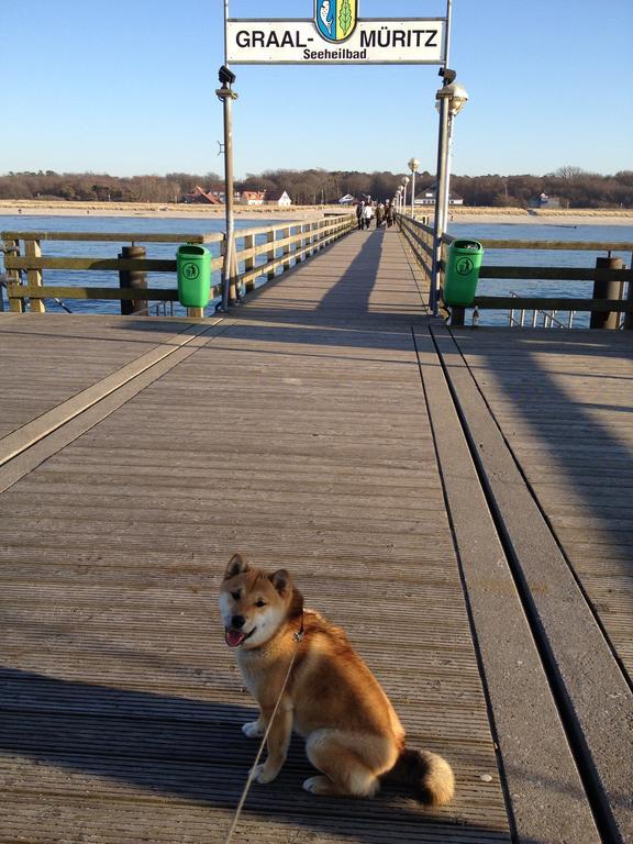 Residenz Lausitz - Apartments Fuer Urlaub Mit Hund Graal-Mueritz Exterior foto