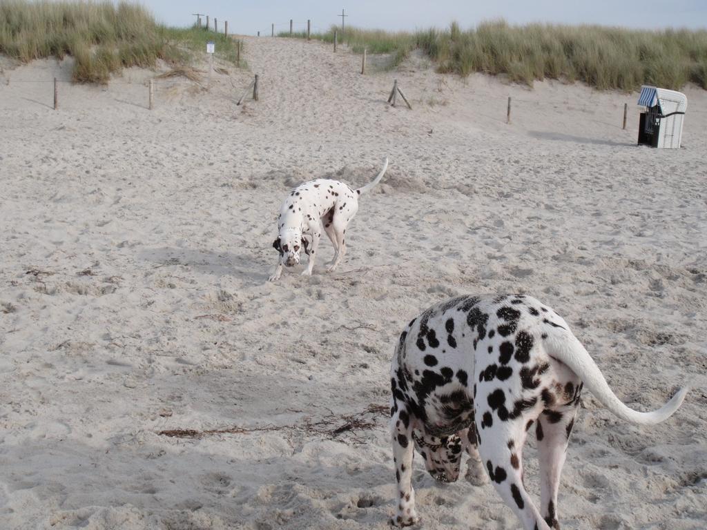 Residenz Lausitz - Apartments Fuer Urlaub Mit Hund Graal-Mueritz Exterior foto