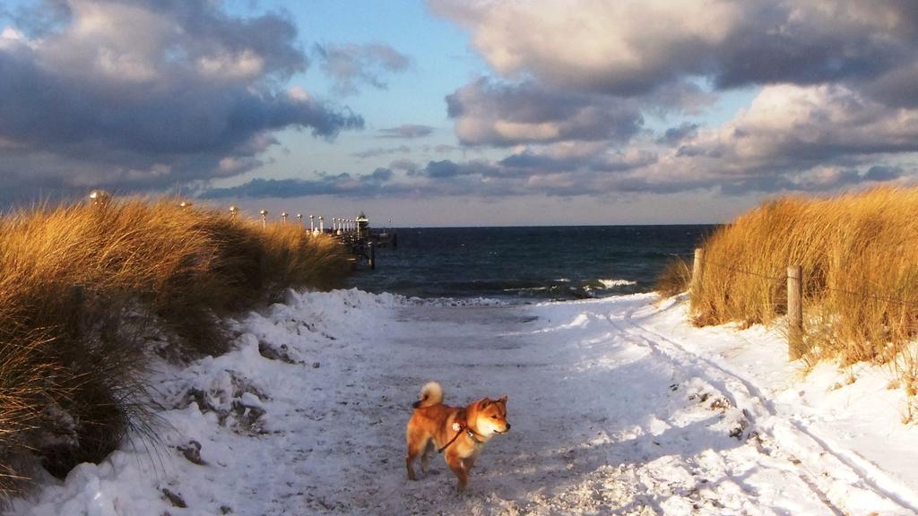 Residenz Lausitz - Apartments Fuer Urlaub Mit Hund Graal-Mueritz Exterior foto