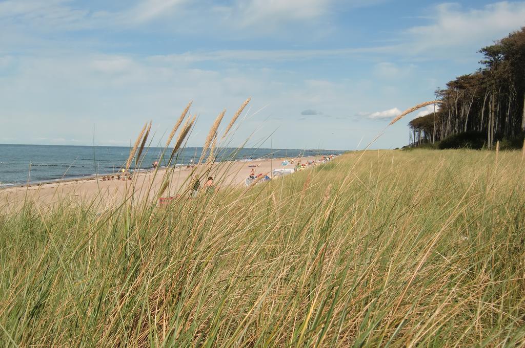 Residenz Lausitz - Apartments Fuer Urlaub Mit Hund Graal-Mueritz Exterior foto